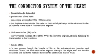 ▪ Sinoatrial node (SA node)
– ‘pacemaker’ of the heart
– generating an impulse 60 to 100 times/min
– this impulse travel across the atria via internodal pathways to the atrioventricular
(AV) node, in the floor of the interatrial septum
▪ Atrioventricular (AV) node
– the very small junction fiber of the AV node slows the impulse, slightly delaying its
transmission to the ventricles.
▪ Bundle of His
– It then passes though the bundle of His at the atrioventricular junction and
continues down the interventricular septum through the right and left bundle
branches and out to the Perkinje fibers in the ventricular muscle walls.
 