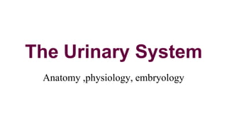 Anatomy ,physiology, embryology
The Urinary System
 