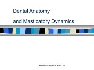 Dental Anatomy
and Masticatory Dynamics
www.indiandentalacademy.com
 