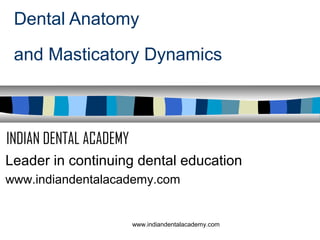Dental Anatomy
and Masticatory Dynamics

INDIAN DENTAL ACADEMY
Leader in continuing dental education
www.indiandentalacademy.com

www.indiandentalacademy.com

 