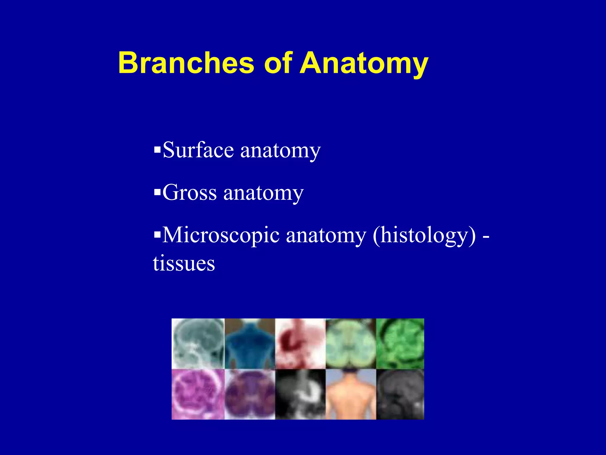 Branches of Anatomy
Surface anatomy
Gross anatomy
Microscopic anatomy (histology) -
tissues
 