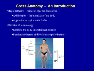 anatomy physiology intro. powerpoint (chapter 1).ppt