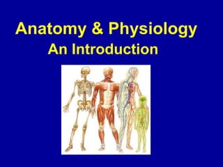 Anatomy & Physiology
An Introduction
 