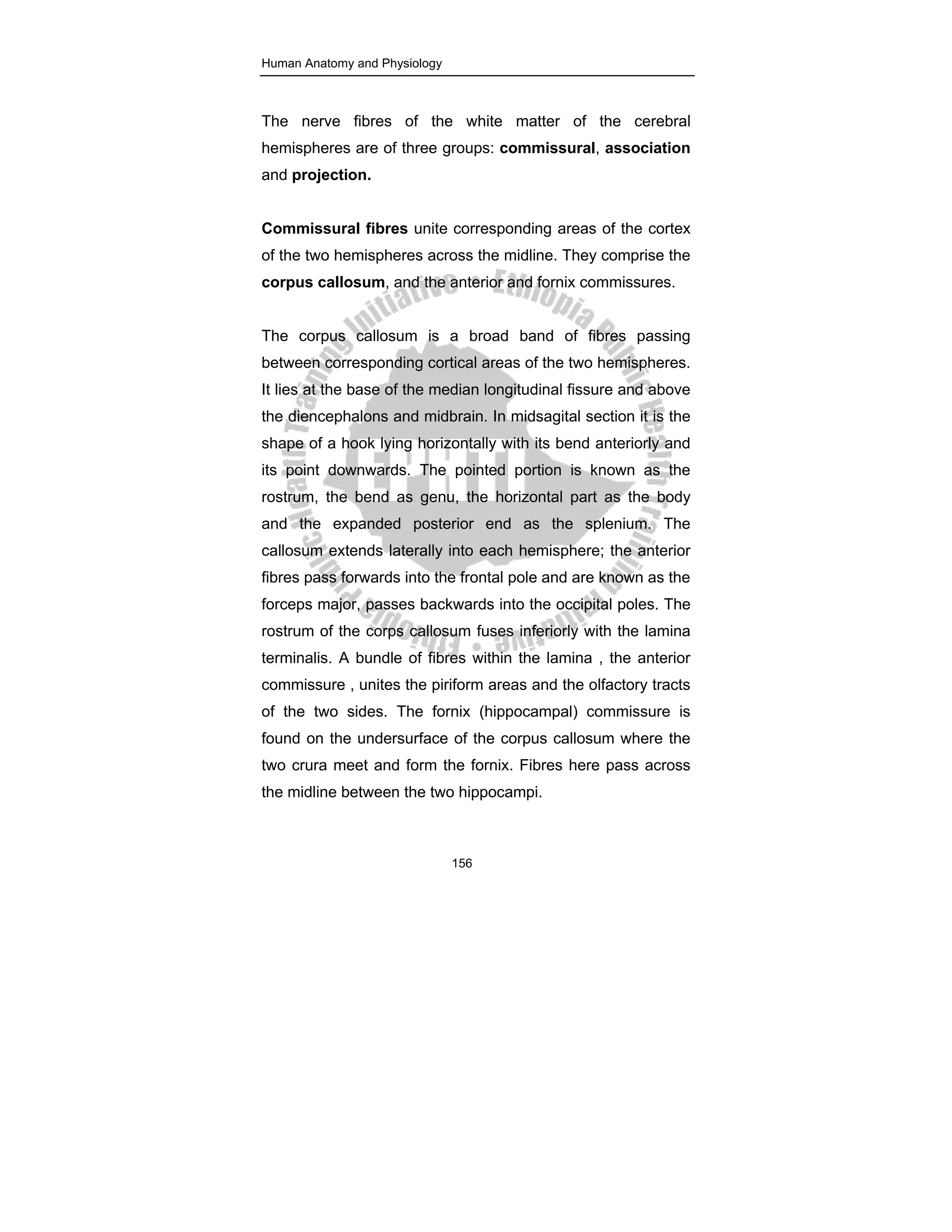 ANATOMY PHYSIOLOGY NOTES.pdf