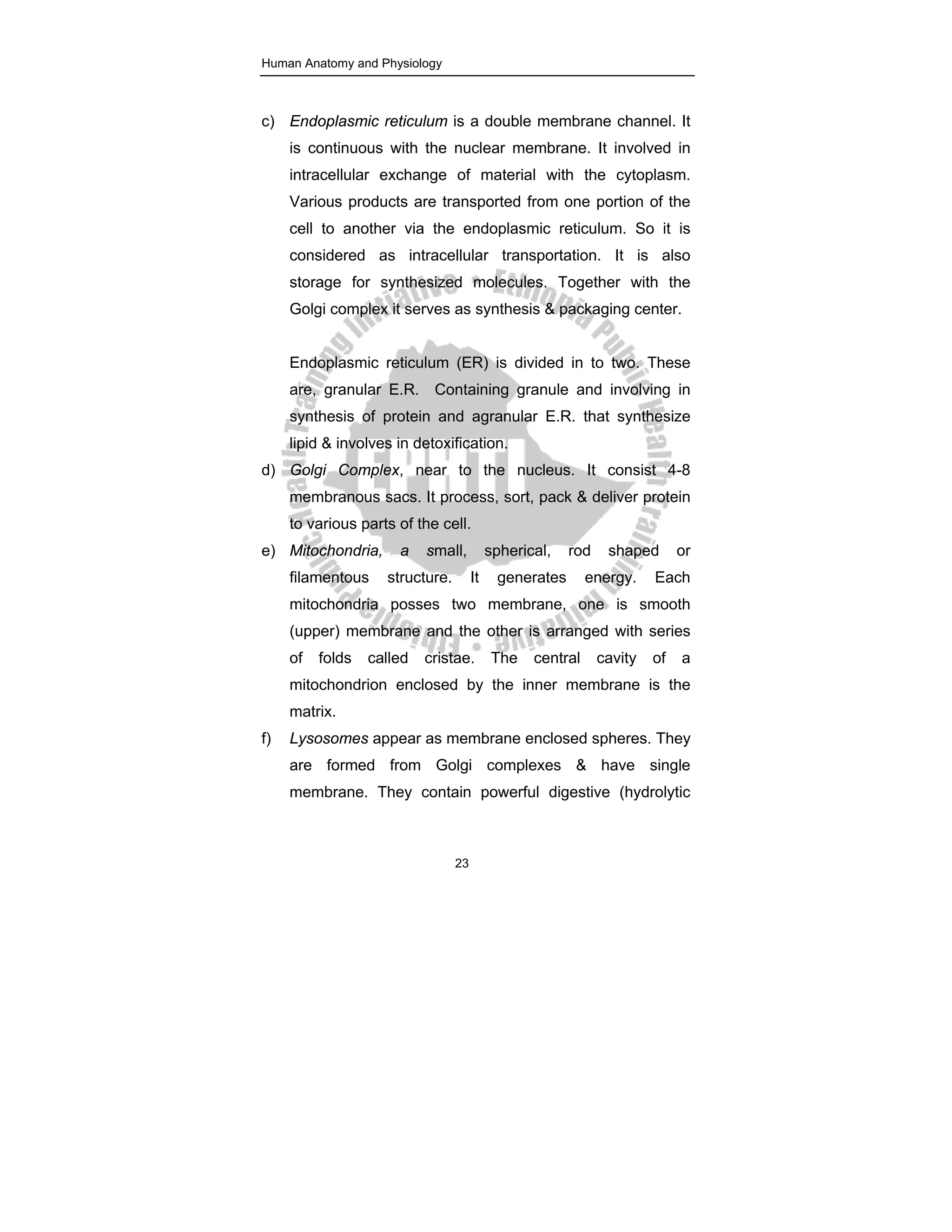 ANATOMY PHYSIOLOGY NOTES.pdf