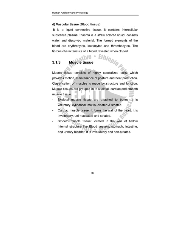 BASIC HUMAN ANATOMY AND PHYSIOLOGY PDF NOTES visual data 4