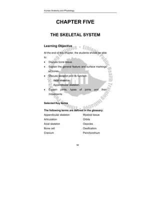 ANATOMY PHYSIOLOGY NOTES.pdf