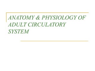 ANATOMY & PHYSIOLOGY OF
ADULT CIRCULATORY
SYSTEM
 