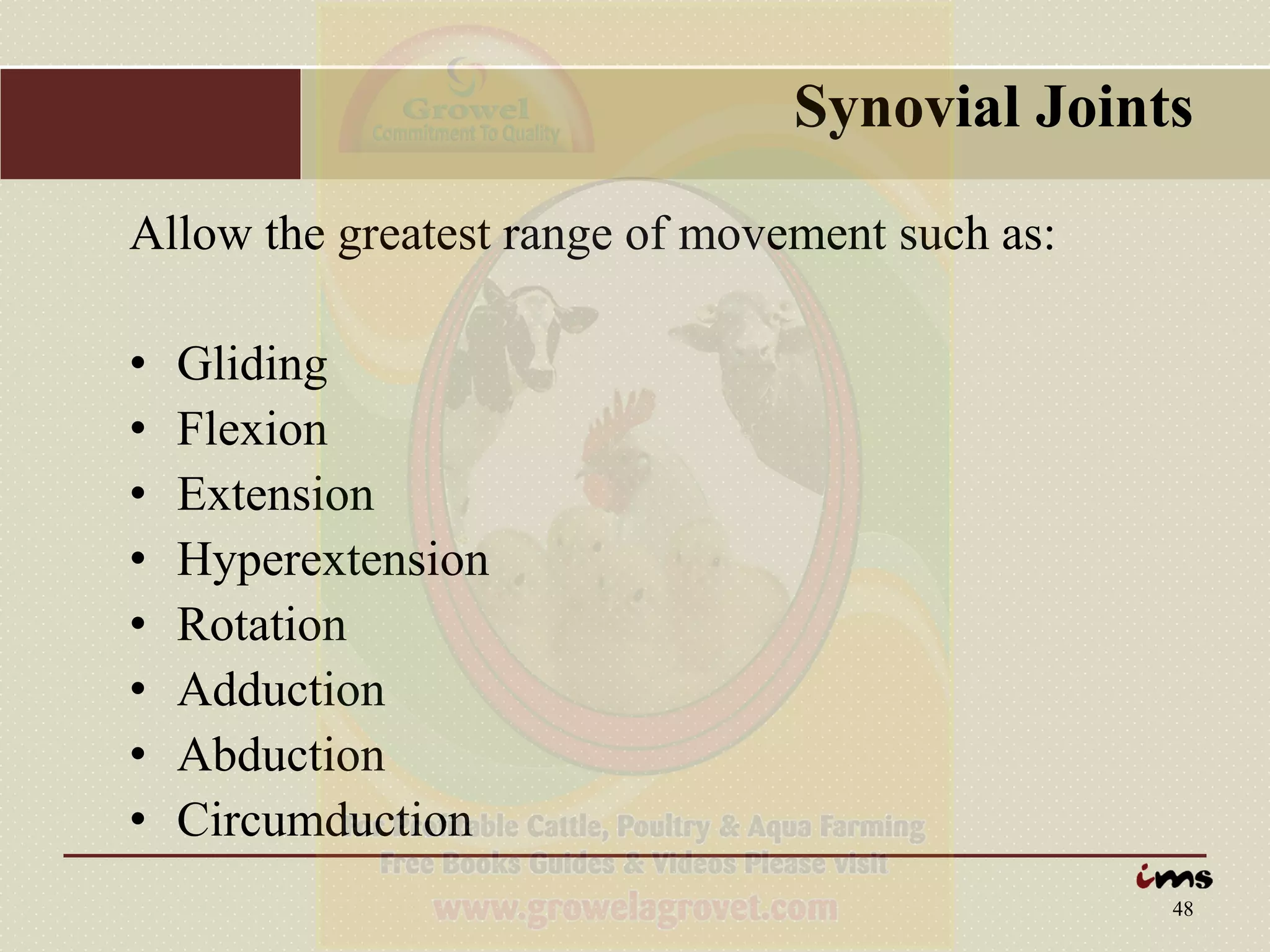 Anatomy & Physiology of Animals | PDF