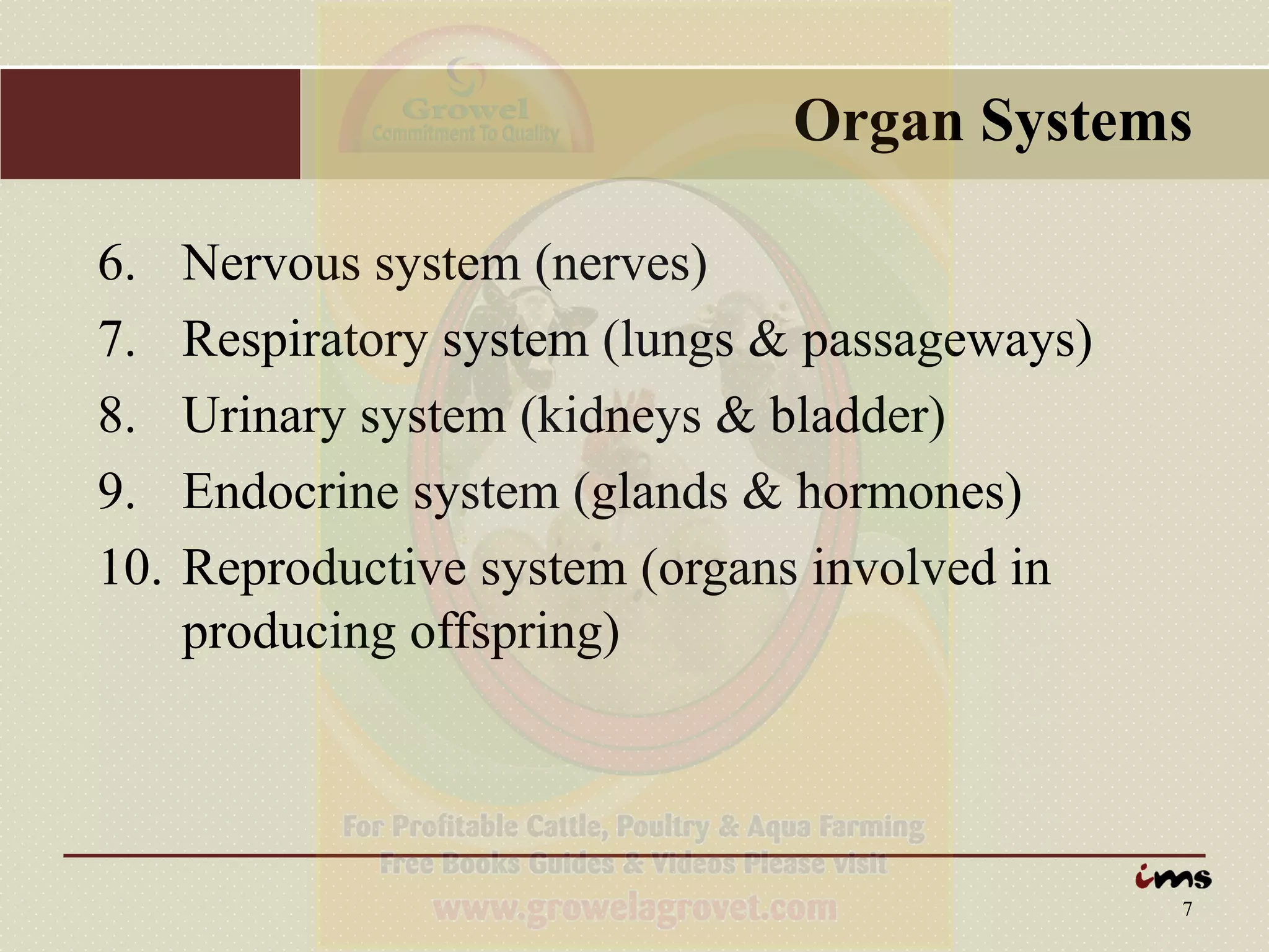 WHAT IS PHYSIOLOGY IN ANIMALS visual data 6