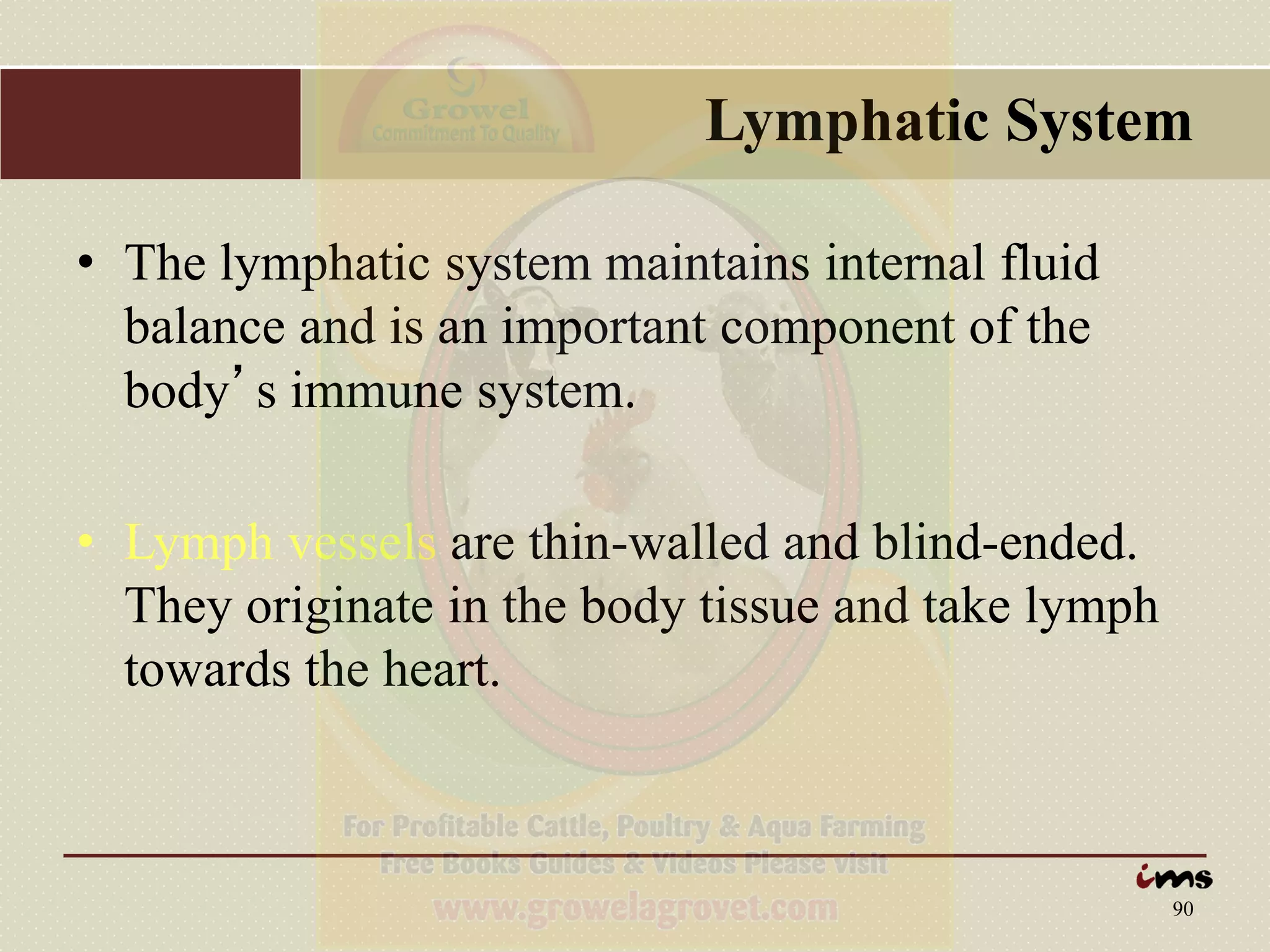 Anatomy And Physiology Of Animalslymphatic System