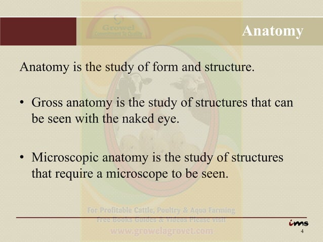 Anatomy visual data 8