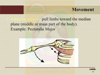 Anatomy & Physiology of Animals | PDF