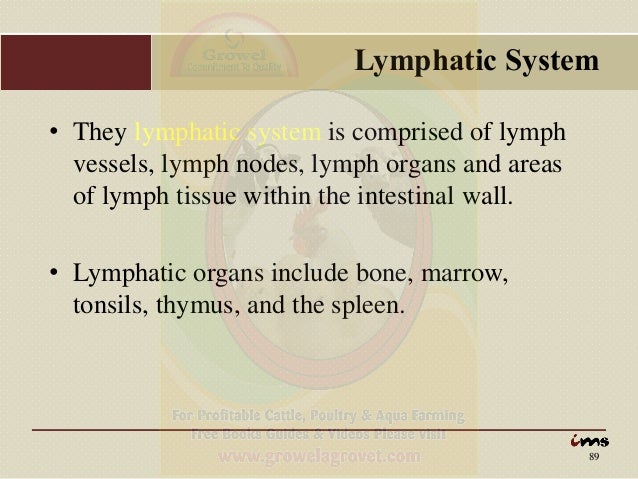 Anatomy & Physiology of Animals