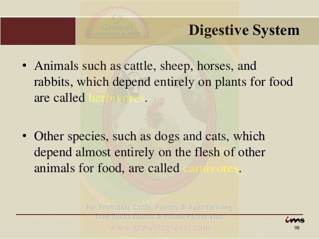 Anatomy & Physiology of Animals