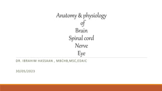 Anatomy&physiology
of
Brain
Spinalcord
Nerve
Eye
DR. IBRAHIM HASSAAN , MBCHB,MSC,EDAIC
30/05/2023
 
