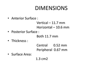 Peripheral Dimension ANATOMY & PHYSIOLOGY OF CORNEA.pptx