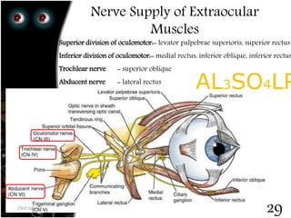 23rdJuly '15
Dept. of Ophthalmology, JNMC, Belagavi
Nerve Supply of Extraocular
Muscles
Superior division of oculomotor:- levator palpebrae superioris, superior rectus
Inferior division of oculomotor:- medial rectus, inferior oblique, inferior rectus
Trochlear nerve - superior oblique
Abducent nerve - lateral rectus
23rd July '15
29
AL3SO4LR
 