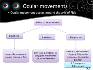 35
Ocular movements
 Ocular movement occurs around the axis of Fick
3 basic ocular movements
1.Ductions –
2.Version-
monocular movement
around the axis of Fick
Binocular, simultaneous,
conjugate movements-
(in same direction)
Binocular, simultaneous,
disjugate /disjunctive
movement-in opposite
direction
3.Vergences-
1.Convergence
2.divergence
 