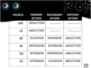 39
23rd July '15
39
MUSCLE PRIMARY
ACTION
SECONDARY
ACTION
TERTIARY
ACTION
MR ADDUCTION __________ ____________
LR ABDUCTION __________ ____________
SR ELEVATION INTORSION ADDUCTION
IR DEPRESSION EXTORSION ADDUCTION
SO INTORSION DEPRESSION ABDUCTION
IO EXTORSION ELEVATION ABDUCTION
 