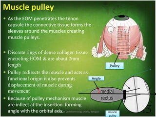 Dept. of Ophthalmology, JNMC, Belagavi 13
Muscle pulley
 As the EOM penetrates the tenon
capsule the connective tissue forms the
sleeves around the muscles creating
muscle pulleys.
 Discrete rings of dense collagen tissue
encircling EOM & are about 2mm
length
 Pulley redirects the muscle and acts as
functional origin it also prevents
displacement of muscle during
movement
 Because of pulley mechanism muscle
are inflect at the insertion forming
angle with the orbital axis. muscle
pulley
Pulley
Angle
 