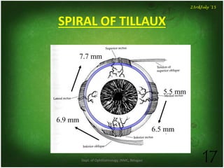 SPIRAL OF TILLAUX
5.5 mm
6.5 mm
6.9 mm
7.7 mm
Dept. of Ophthalmology, JNMC, Belagavi 17
23rdJuly '15
 