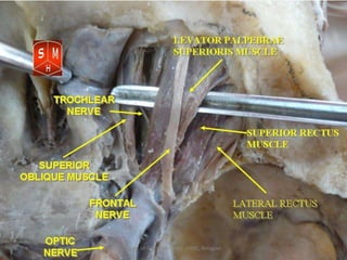 23rd July '15
1
Dept. of Ophthalmology, JNMC, Belagavi
 