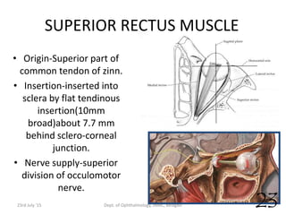 SUPERIOR RECTUS MUSCLE
• Origin-Superior part of
common tendon of zinn.
• Insertion-inserted into
sclera by flat tendinous
insertion(10mm
broad)about 7.7 mm
behind sclero-corneal
junction.
• Nerve supply-superior
division of occulomotor
nerve.
Dept. of Ophthalmology, JNMC, Belagavi23rd July '15 23
 