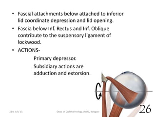 • Fascial attachments below attached to inferior
lid coordinate depression and lid opening.
• Fascia below Inf. Rectus and Inf. Oblique
contribute to the suspensory ligament of
lockwood.
• ACTIONS-
Primary depressor.
Subsidiary actions are
adduction and extorsion.
23rd July '15 Dept. of Ophthalmology, JNMC, Belagavi 26
 