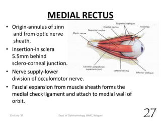 MEDIAL RECTUS
• Origin-annulus of zinn
and from optic nerve
sheath.
• Insertion-in sclera
5.5mm behind
sclero-corneal junction.
• Nerve supply-lower
division of occulomotor nerve.
• Fascial expansion from muscle sheath forms the
medial check ligament and attach to medial wall of
orbit.
23rd July '15 Dept. of Ophthalmology, JNMC, Belagavi 27
 