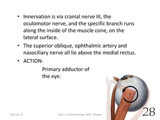 • Innervation is via cranial nerve III, the
oculomotor nerve, and the specific branch runs
along the inside of the muscle cone, on the
lateral surface.
• The superior oblique, ophthalmic artery and
nasociliary nerve all lie above the medial rectus.
• ACTION-
Primary adductor of
the eye.
23rd July '15 Dept. of Ophthalmology, JNMC, Belagavi 28
 