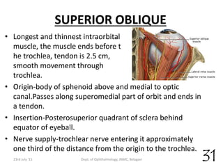 SUPERIOR OBLIQUE
• Longest and thinnest intraorbital
muscle, the muscle ends before t
he trochlea, tendon is 2.5 cm,
smooth movement through
trochlea.
• Origin-body of sphenoid above and medial to optic
canal.Passes along superomedial part of orbit and ends in
a tendon.
• Insertion-Posterosuperior quadrant of sclera behind
equator of eyeball.
• Nerve supply-trochlear nerve entering it approximately
one third of the distance from the origin to the trochlea.
23rd July '15 Dept. of Ophthalmology, JNMC, Belagavi 31
 