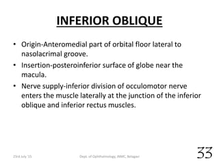INFERIOR OBLIQUE
• Origin-Anteromedial part of orbital floor lateral to
nasolacrimal groove.
• Insertion-posteroinferior surface of globe near the
macula.
• Nerve supply-inferior division of occulomotor nerve
enters the muscle laterally at the junction of the inferior
oblique and inferior rectus muscles.
23rd July '15 Dept. of Ophthalmology, JNMC, Belagavi 33
 