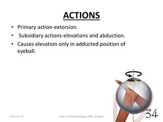 ACTIONS
• Primary action-extorsion.
• Subsidiary actions-elevations and abduction.
• Causes elevation only in adducted position of
eyeball.
23rd July '15 Dept. of Ophthalmology, JNMC, Belagavi 34
 