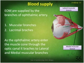 Dept. of Ophthalmology, JNMC, Belagavi 36
23rdJuly '15
Blood supply
EOM are supplied by the
branches of ophthalmic artery.
1. Muscular branches
2. Lacrimal braches
As the ophthalmic artery enter
the muscle cone through the
optic canal it braches to Lateral
and Medial muscular branches
Medial muscular
branch
Lateral muscular
branch
 