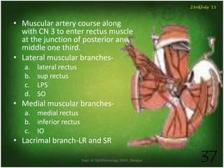 Dept. of Ophthalmology, JNMC, Belagavi 37
23rdJuly '15
• Muscular artery course along
with CN 3 to enter rectus muscle
at the junction of posterior and
middle one third.
• Lateral muscular branches-
a. lateral rectus
b. sup rectus
c. LPS
d. SO
• Medial muscular branches-
a. medial rectus
b. inferior rectus
c. IO
• Lacrimal branch-LR and SR
 