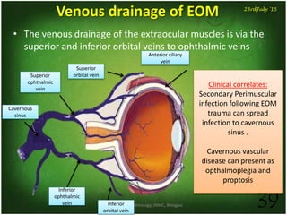 Dept. of Ophthalmology, JNMC, Belagavi 39
23rdJuly '15
Venous drainage of EOM
• The venous drainage of the extraocular muscles is via the
superior and inferior orbital veins to ophthalmic veins
Anterior ciliary
vein
Cavernous
sinus
Inferior
ophthalmic
vein
Superior
ophthalmic
vein
Superior
orbital vein
inferior
orbital vein
Clinical correlates:
Secondary Perimuscular
infection following EOM
trauma can spread
infection to cavernous
sinus .
Cavernous vascular
disease can present as
opthalmoplegia and
proptosis
 
