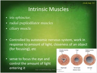 Intrinsic Muscles
• iris sphincter,
• radial pupilodilator muscles
• ciliary muscle
• Controlled by autonomic nervous system, work in
response to amount of light, closeness of an object
(for focusing), etc
• serve to focus the eye and
control the amount of light
entering it Dept. of Ophthalmology, JNMC, Belagavi 4
23rd July '15
 
