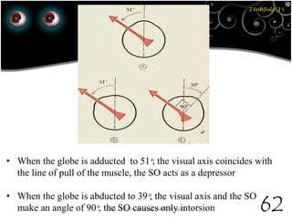 23rd July '15
62Dept. of Ophthalmology, JNMC, Belagavi
• When the globe is adducted to 51 ͦ, the visual axis coincides with
the line of pull of the muscle, the SO acts as a depressor
• When the globe is abducted to 39 ͦ, the visual axis and the SO
make an angle of 90 ͦ, the SO causes only intorsion
 