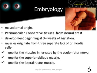 Embryology
• mesodermal origin,
• Perimuscular Connective tissues from neural crest
• development beginning at 3– weeks of gestation.
• muscles originate from three separate foci of primordial
cells-
 one for the muscles innervated by the oculomotor nerve,
 one for the superior oblique muscle,
 one for the lateral rectus muscle.
23rd July '15
Dept. of Ophthalmology, JNMC, Belagavi
6
 