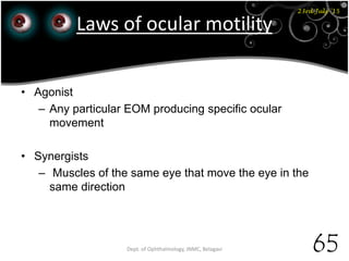 23rd July '15
65Dept. of Ophthalmology, JNMC, Belagavi
Laws of ocular motility
• Agonist
– Any particular EOM producing specific ocular
movement
• Synergists
– Muscles of the same eye that move the eye in the
same direction
 