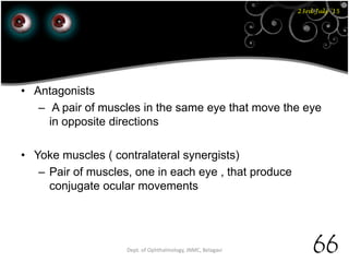 23rd July '15
66Dept. of Ophthalmology, JNMC, Belagavi
• Antagonists
– A pair of muscles in the same eye that move the eye
in opposite directions
• Yoke muscles ( contralateral synergists)
– Pair of muscles, one in each eye , that produce
conjugate ocular movements
 