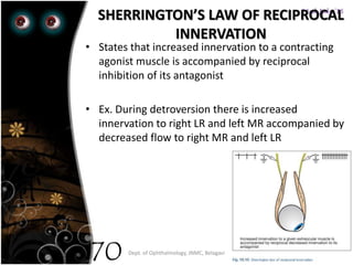 23rd July '15
Dept. of Ophthalmology, JNMC, Belagavi
70
• States that increased innervation to a contracting
agonist muscle is accompanied by reciprocal
inhibition of its antagonist
• Ex. During detroversion there is increased
innervation to right LR and left MR accompanied by
decreased flow to right MR and left LR
SHERRINGTON’S LAW OF RECIPROCAL
INNERVATION
 