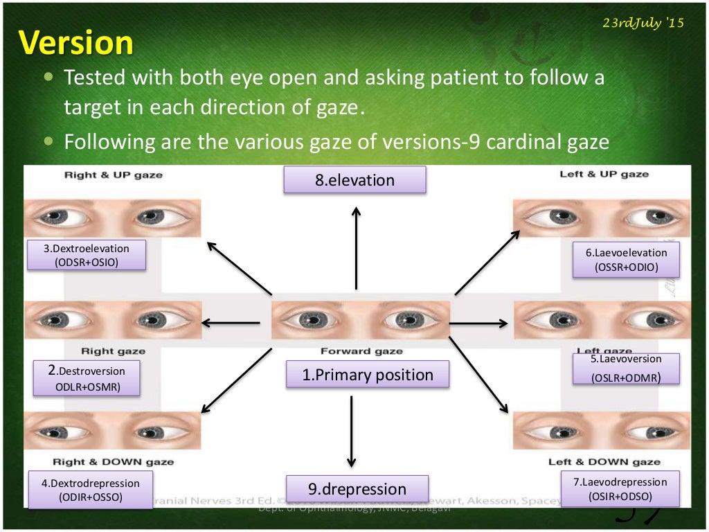 Anatomy & physiology of eom