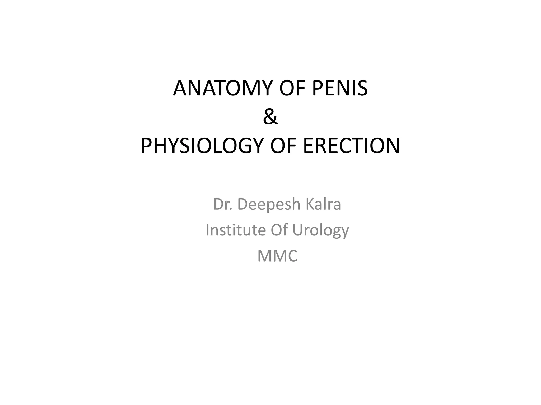 Anatomy of penis & physiology of erection PPT