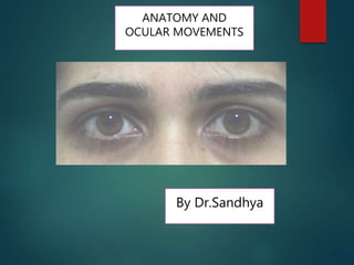 By Dr.Sandhya
ANATOMY AND
OCULAR MOVEMENTS
 