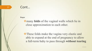 ANATOMY & PHYSIOLOGY OF FEMALE REPRODUCTIVE ORGANS.pptx