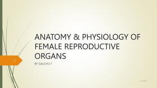 ANATOMY & PHYSIOLOGY OF
FEMALE REPRODUCTIVE
ORGANS
BY GALCHU T
5/23/2023
1
 