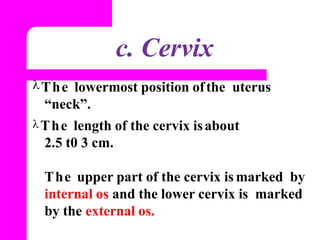 Normal Cervix Position Chart Anatomy & Physiology of Female Reproductive System 1 | PPTX