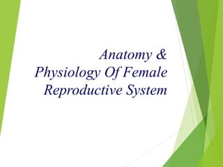 Anatomy & 
Physiology Of Female 
Reproductive System 
 